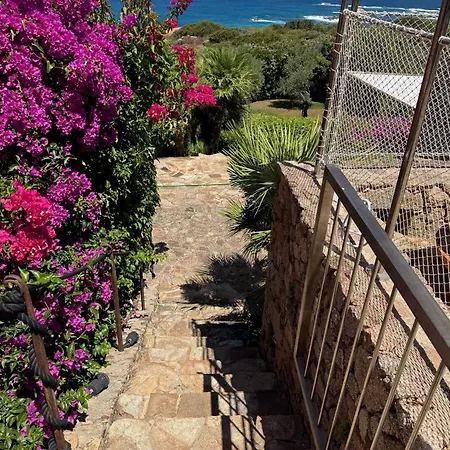 Le Palme Villa Aglientu